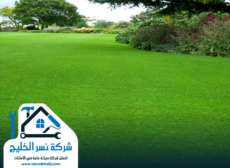 تركيب عشب