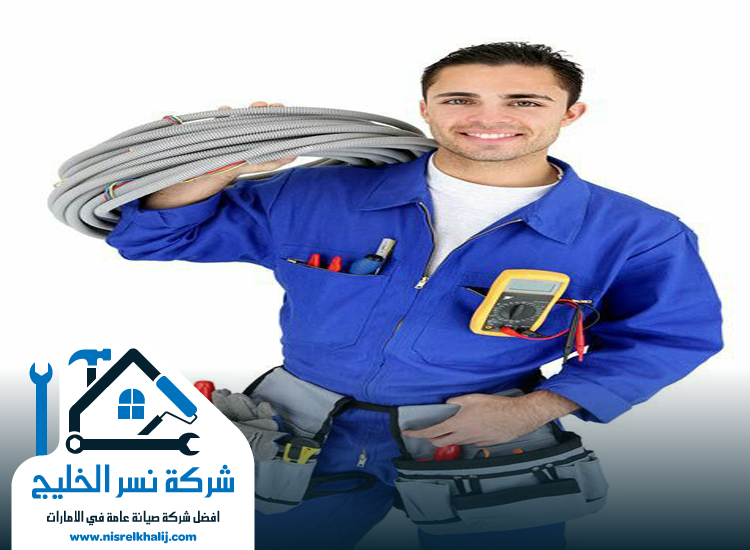 كهربائي في الضاحية